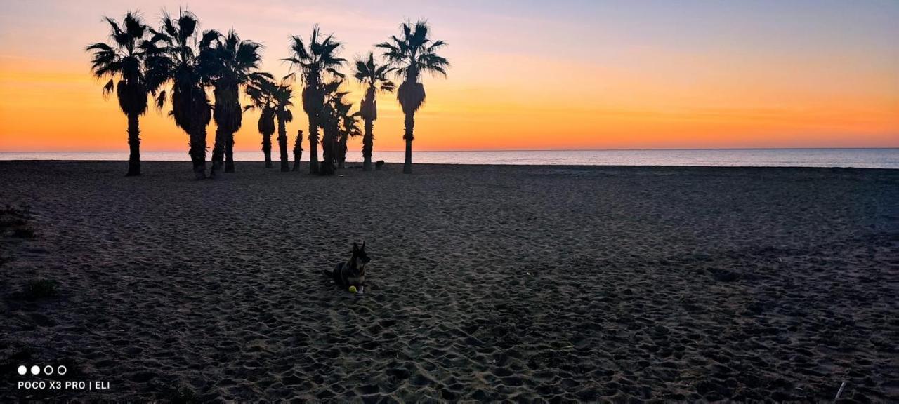 Encantador Apto En La Playa Coma-Ruga Extérieur photo